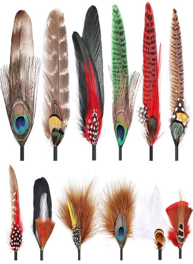 iHUFeather 12Pcs Hat Feathers, Natural Feathers Peacock Feathers for Hats, Colorful Feathers Pin Cowboy Hat Feather for Western Cowboy Hats Party Hats, Feathers Accessories DIY Decorations(12 Style) - Image 1