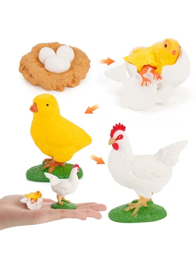 ألعاب معرفية للتعليم المبكر نماذج حيوانات صلبة ضفدع واقعي وسلحفاة بحرية وبعوض ونمل وصرصور دورة حياة اللون: 2450 العقرب 1 دورة نمو 51.5 جم - Image 3