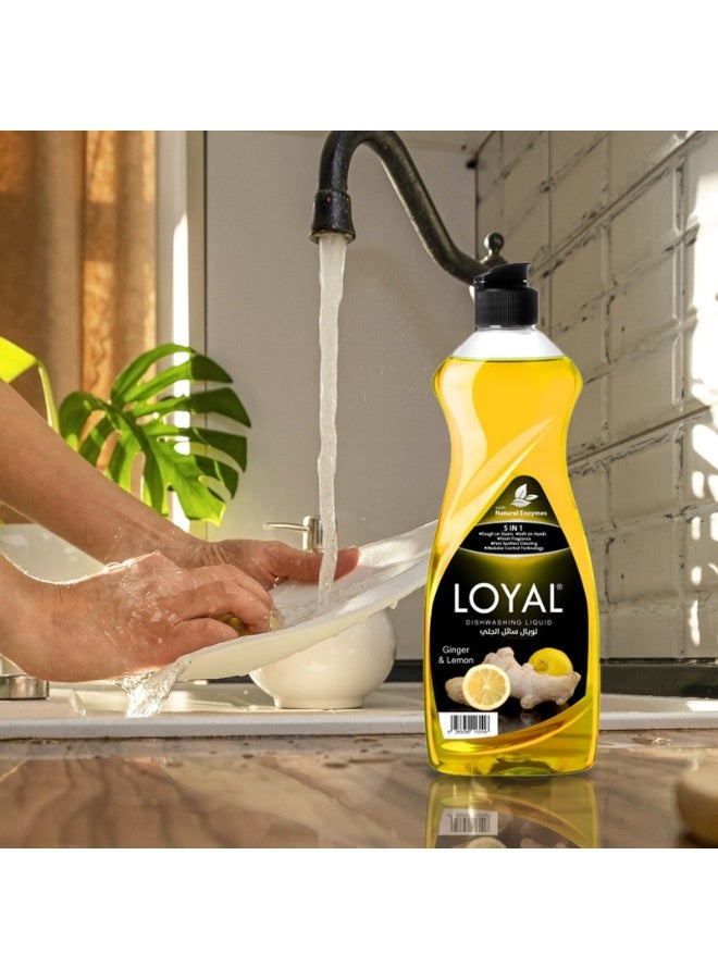 loyal Dishwashing Liquid Ginger & Lemon - 700 ml - Image 2