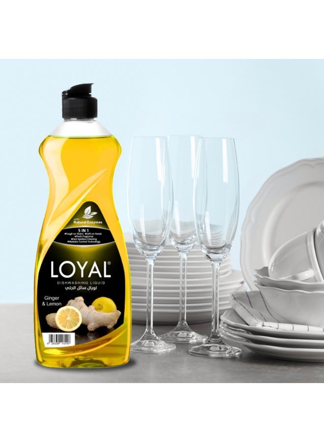 loyal Dishwashing Liquid Ginger & Lemon - 700 ml - Image 3
