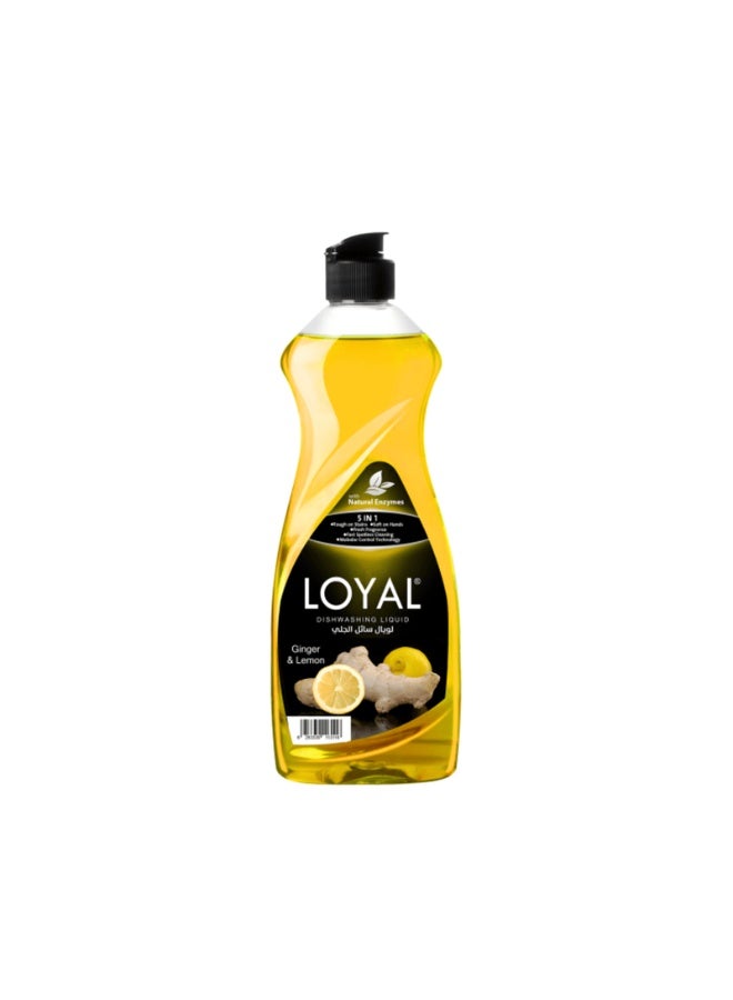loyal Dishwashing Liquid Ginger & Lemon - 700 ml - Image 1
