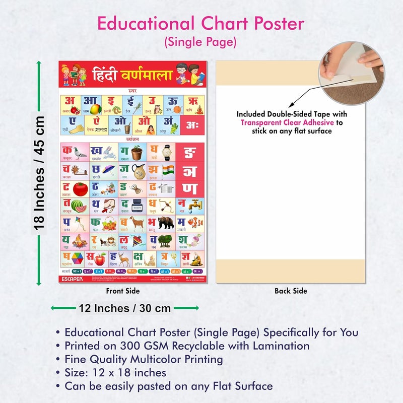 ESCAPER رسوم بيانية تعليمية للأبجدية الهندية للأطفال، رسوم بيانية لتعلم الأطفال (11.5 × 17.5 بوصة)، مواد دراسية للأطفال، كتب تعليمية للأطفال، ملصقات تعليمية - Image 3