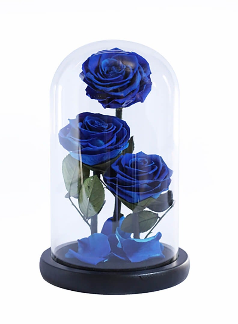 Si Bonne Preserved Forever Blue Rose in Luxury Glass Dome 14*23 - Eternal Flower Gift for Women's Day, Valentine's Day, Wedding Anniversary, and Birthday - Image 1