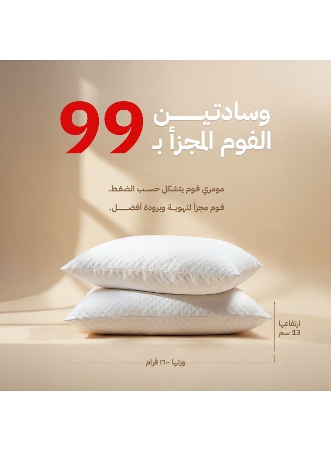 RUOQI Two shredded foam pillows