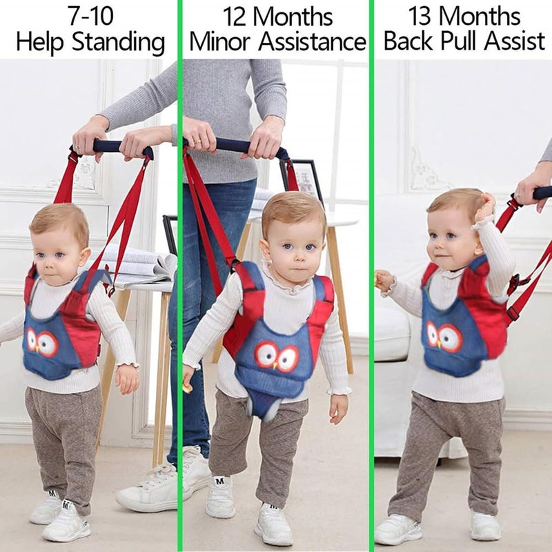 AVIZCVE Baby Walking Harness, Handheld Kids Walker Helper, New Upgrade Breathable and Adjustable Toddler Infant Walker Harness Assistant Belt with Instructions for 7-24 Month (Breathable Owl Blue Red) - Image 5