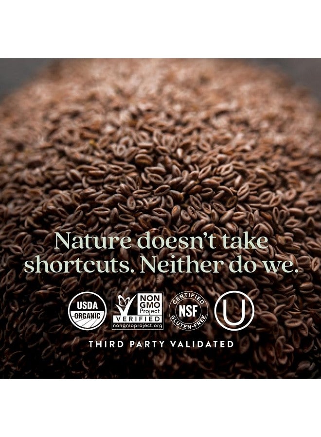 New Chapter فصل جديد مكمل ألياف متعددة من جميع النباتات مع إنولين بروبيوتيك المدروس سريرياً + قشور السيليوم لصحة الهضم والأمعاء، مصدر جيد للألياف اليومية، عضوي من وزارة الزراعة الأمريكية، 100% نباتي، 120 حبة - Image 5