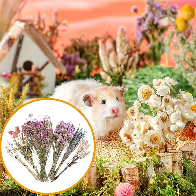 Hay Floral Bedding 1 Pc Natural Botanical Pet Bedding For Hamsters Gerbils Chinchillas - Image 3