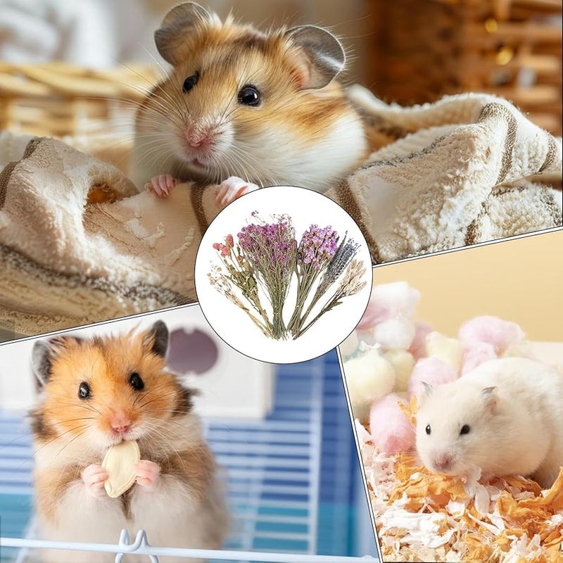 Hay Floral Bedding 1 Pc Natural Botanical Pet Bedding For Hamsters Gerbils Chinchillas - Image 4