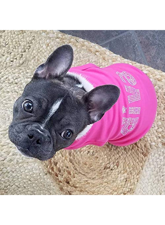 NIBEMINENT Parisian Pet Embroidered T-Shirt Pink X-Large - Image 5