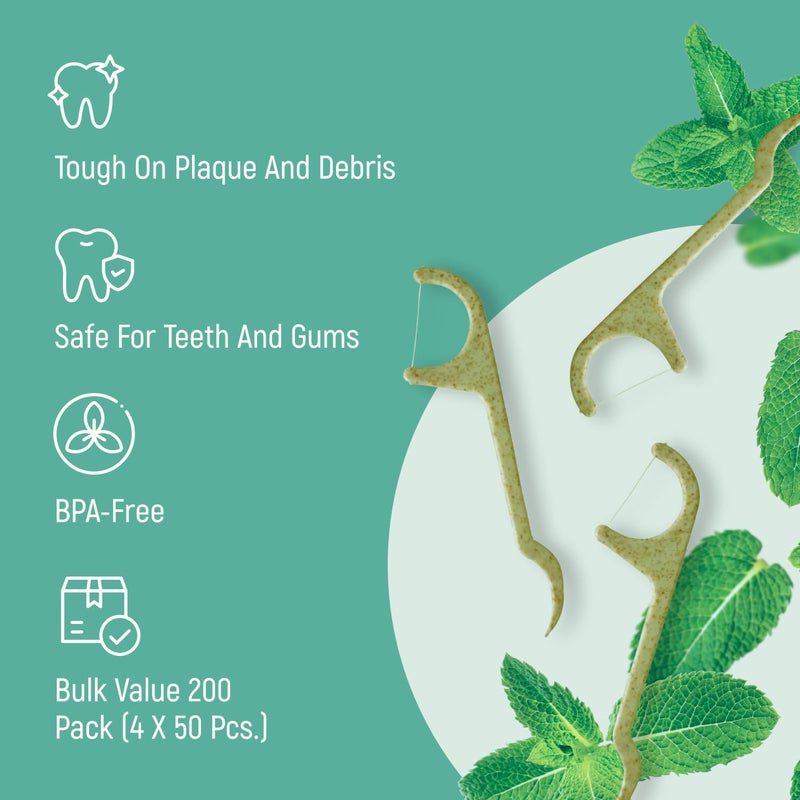 BAMBOEARTH Natural Dental Floss Picks - Eco Friendly Cruelty Free & Vegan Tooth Flossers Pick Set with BPA Free Handle & Zero Waste Packaging - 200 Pack (Mint Flavored) - Image 4