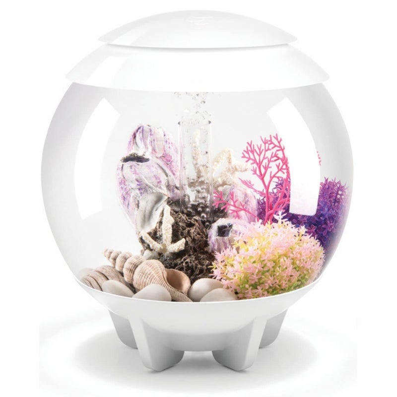 biOrb Halo 15 Acrylic 4-Gallon Aquarium with Multi-Color Remote-Controlled LED Lights Modern Compact Tank for Tabletop or Desktop Display, White - Image 1