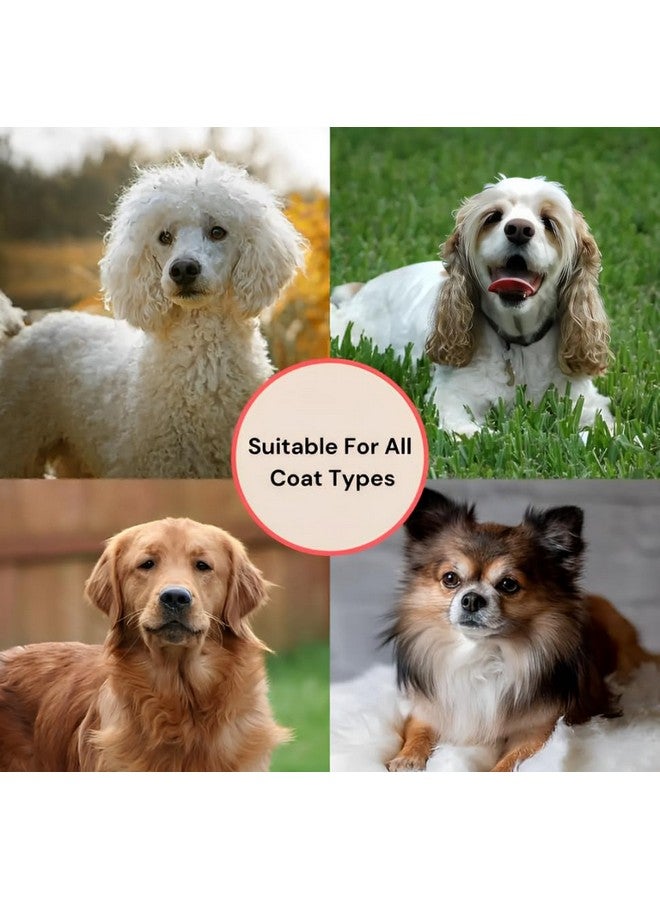 Big G Dog Slicker Brush for Professional Grooming - Fluff, Detangle & Style Goldendoodles, Labradoodles, Poodles & Long-Haired Dogs - Large Coral Curved Brush, Saves Time & Energy - Image 5