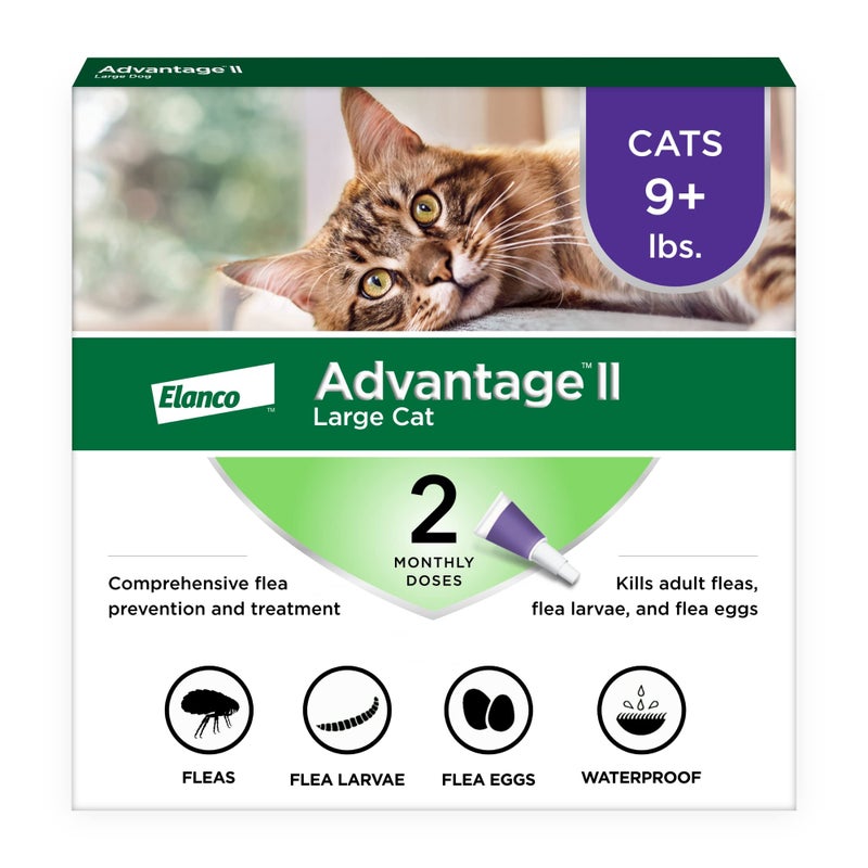 Advantage II Large Cat Vet-Recommended Flea Treatment & Prevention | Cats Over 9 lbs. | 2-Month Supply - Image 1