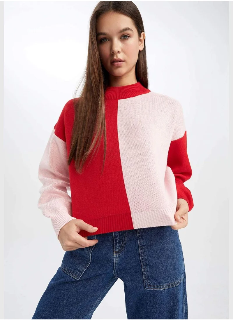 ديفاكتو Regular Fit Half Tutleneck Long Sleeve Colour Block Jumper