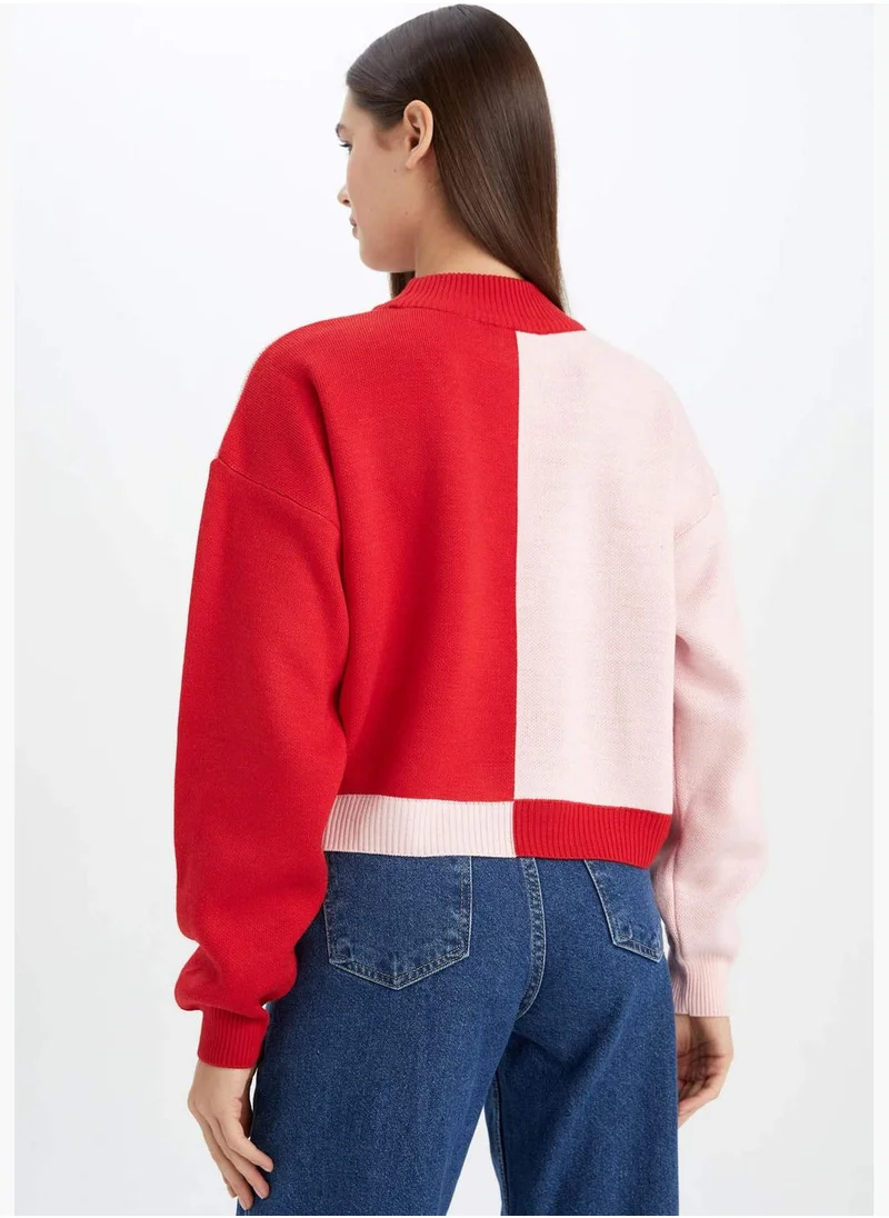 ديفاكتو Regular Fit Half Tutleneck Long Sleeve Colour Block Jumper