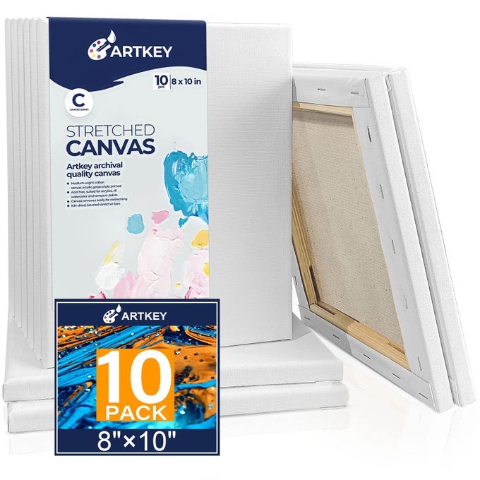 CANVASES FOR PAINTING 8 X 10 INCH 10 PACK 58 PROFILE STRETCHED CANVAS 10 OZ PRIMED 100 COTTON WHITE BLANK CANVAS ART PAINT CANVASES FOR ACRYLIC OIL PAINT