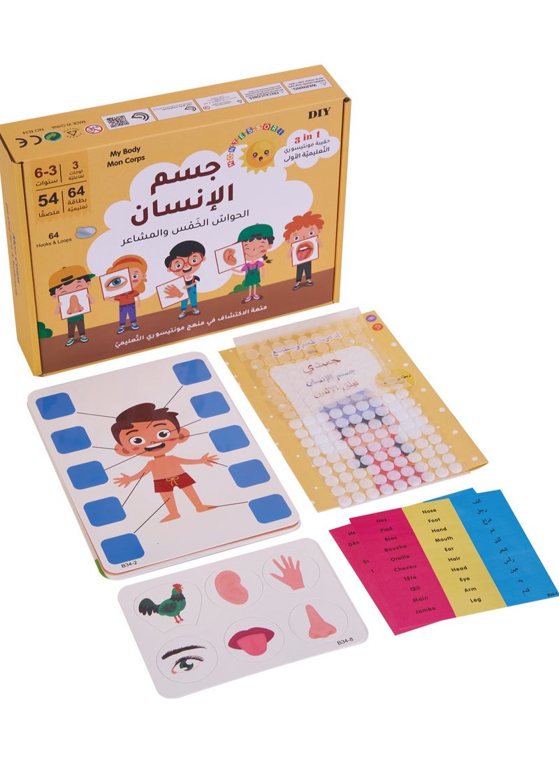 CALL PLAY Arabic Learning Flash Cards for Kids - Educational Language Game with  Vocabulary Cards, Fun Arabic Alphabet Teaching Tool for Toddlers Ages 3-6, Homeschool & Classroom Learning Aid， Speech Therapy, Word Games, Early Education - Image 3