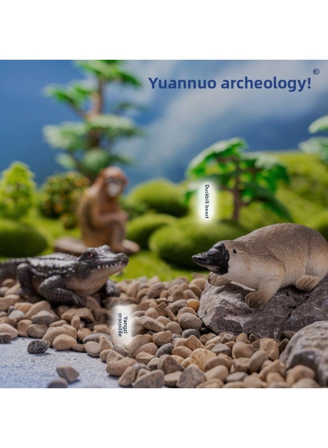 Pinuo Excavation Archaeology Top Ten Endangered Animals Series Blind Box Toy Excavation Panda Yangzi Crocodile Children Treasure Hunting-Color:Endangered Animal Series Random 1 (on-site Version Without Packaging And Tools) - Image 4