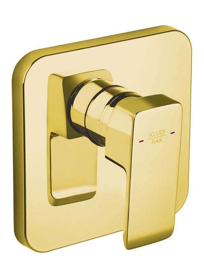 كلودي خلاط بانيو دفن ذهبي RAK-14179 - Image 1