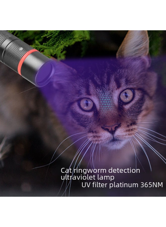 Purple Light Identification Lamp Cat Moss Detection UV Filter 365NM Portable Money Detector Fluorescent Detection Purple Light Direct Sales-Product Specifications:Customizable Light Source Laser Logo Packaging  - Image 2
