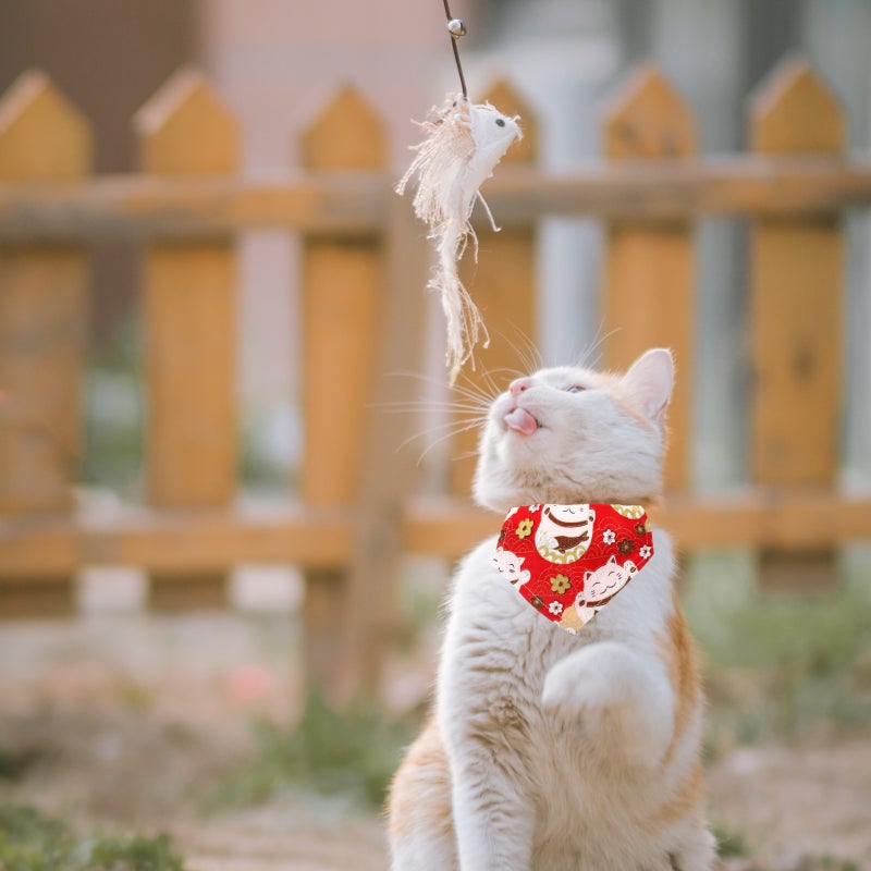 🐾 أوشحة مثلثة قطنية أنيقة للقطط ٣ قطع حجم ١٠ ٥ ٧ سم - Image 5