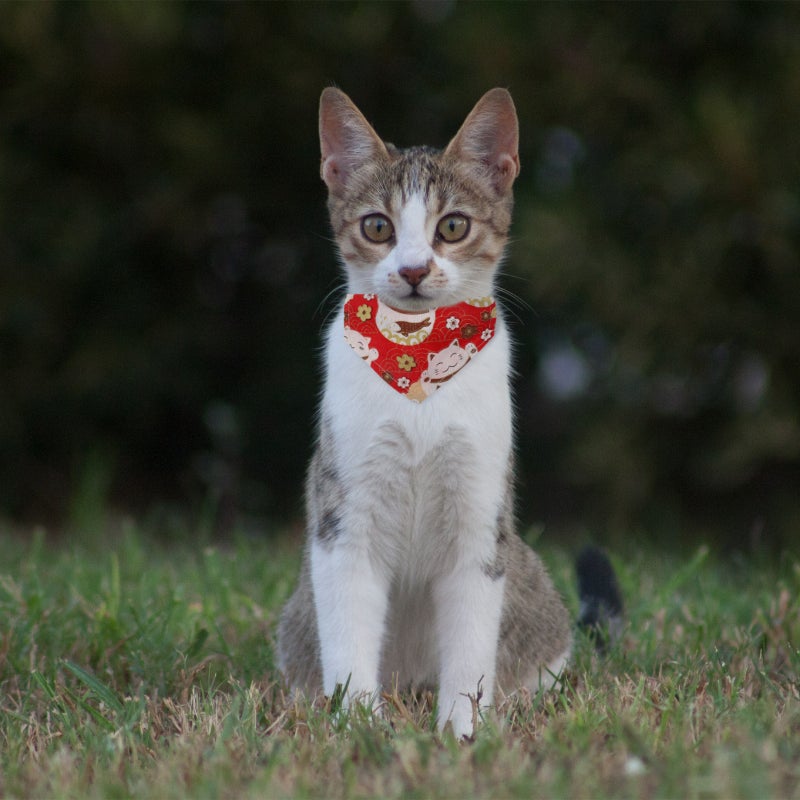 🐾 أوشحة مثلثة قطنية أنيقة للقطط ٣ قطع حجم ١٠ ٥ ٧ سم - Image 1