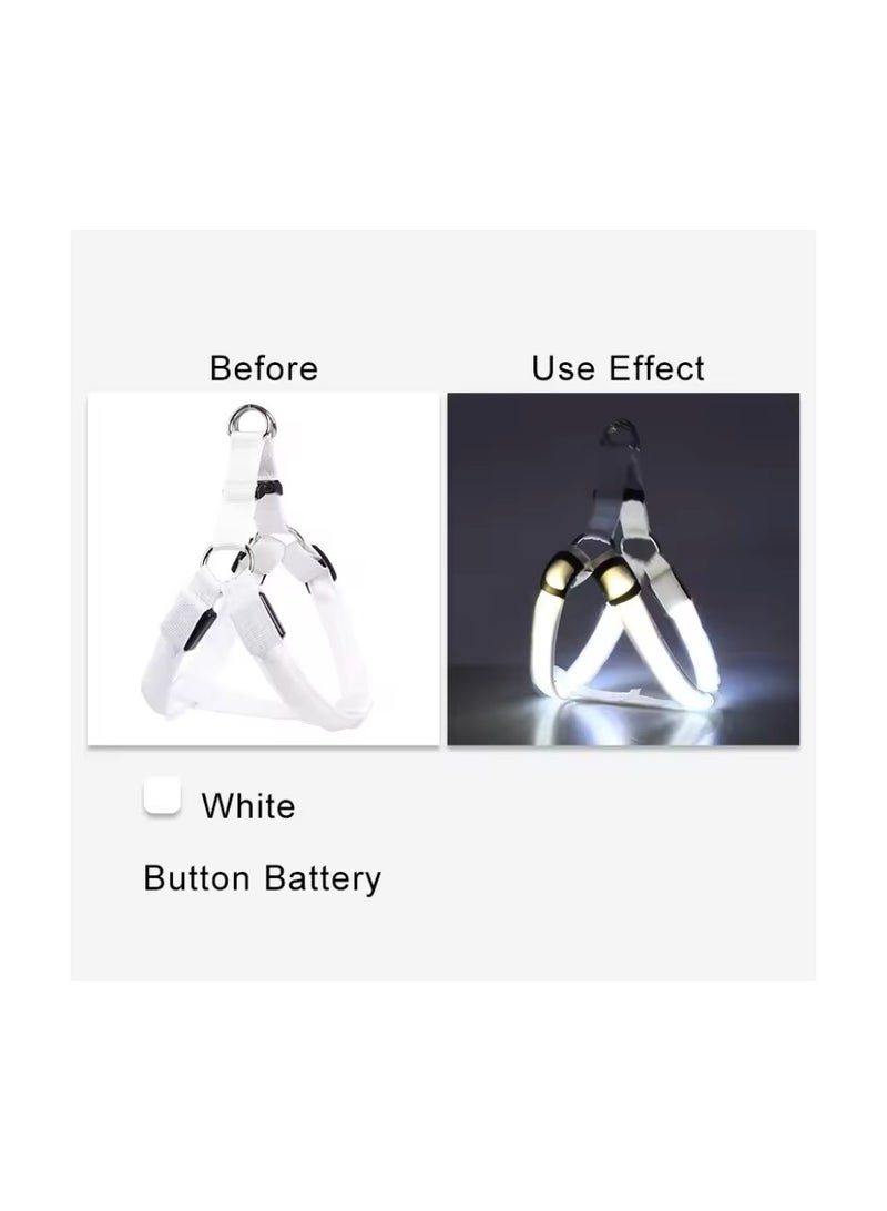 باوفكت وورلد  حزام مضيئ بيتقنية LED للكلاب - Image 2