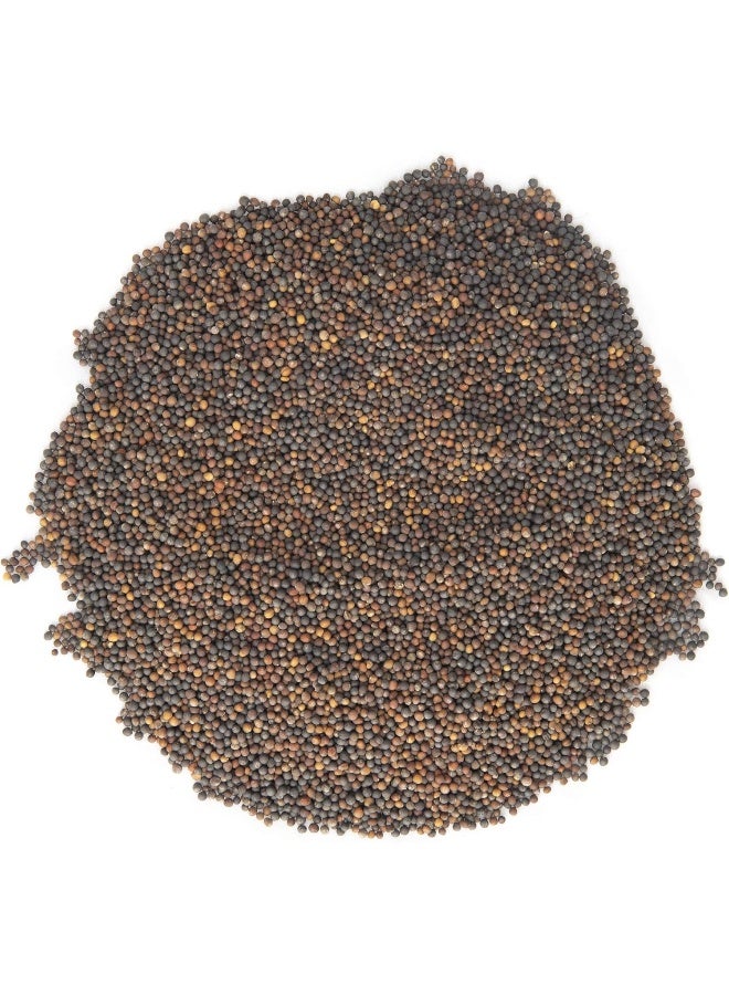 Generic Sulforaphane SPROUTING Seed Mix | Perfect for Sprouting Jars  Seed Sprouters | 5 Varieties of Kale  Broccoli Sprouting Seeds | Non GMO Heirloom Seeds | 1 LB Resealable Bag | Rainbow Heirloom Seed Co  - Image 4