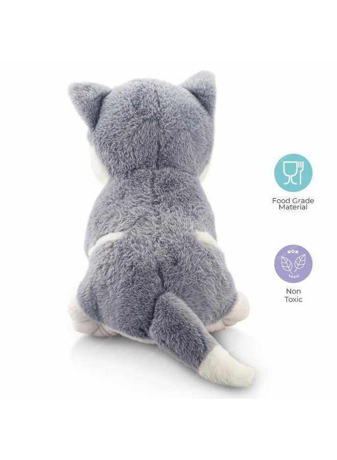 ستوريو ألعاب ستوريو تويز المحشوة الناعمة فائقة الجمال للأطفال | ألعاب محشوة ناعمة للأولاد والبنات - كلب هاسكي | أفضل هدية لعيد الحب - Image 2