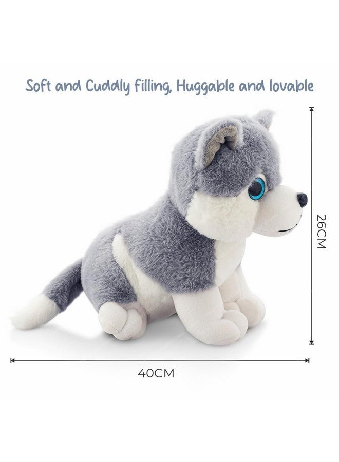 ستوريو ألعاب ستوريو تويز المحشوة الناعمة فائقة الجمال للأطفال | ألعاب محشوة ناعمة للأولاد والبنات - كلب هاسكي | أفضل هدية لعيد الحب - Image 3