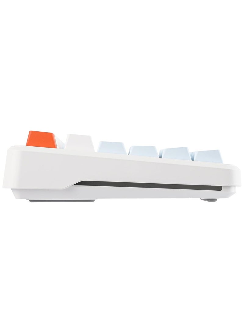 AULA F87 PRO Wireless Mechanical Keyboard,80% TKL Custom Hot Swappable Keyboard, Gasket Mount Gaming Keyboard with PBT Keycaps, Pre-lubed Nimbus V3 Switch,2.4GHz/USB-C/BT5.0 RGB Backlit Mechanical Keyboard  - Image 4