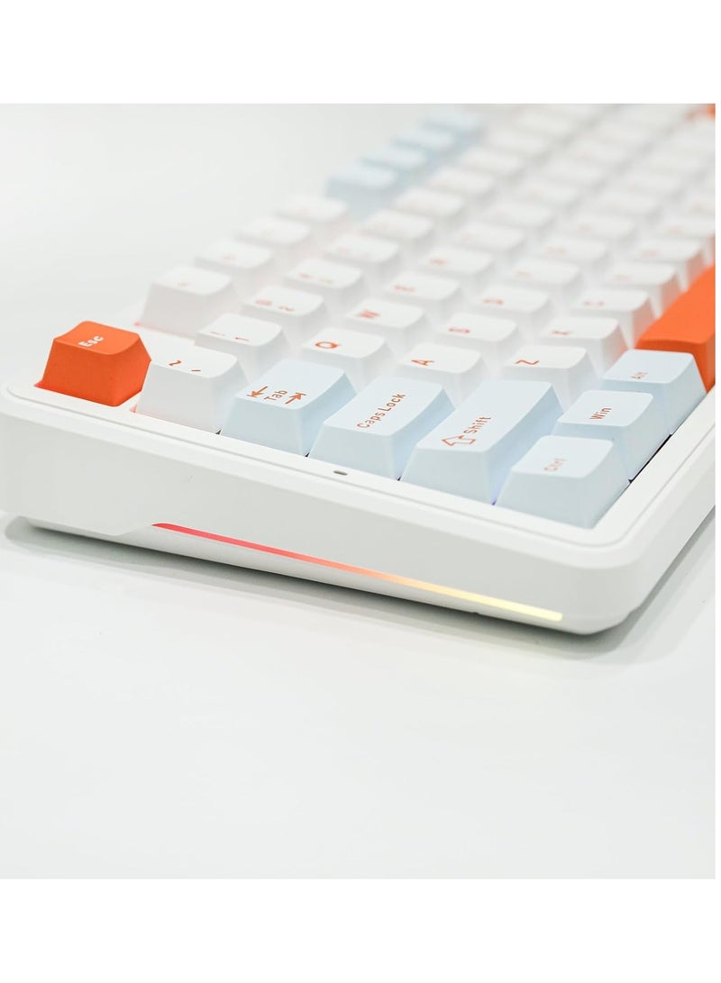 AULA F87 PRO Wireless Mechanical Keyboard,80% TKL Custom Hot Swappable Keyboard, Gasket Mount Gaming Keyboard with PBT Keycaps, Pre-lubed Nimbus V3 Switch,2.4GHz/USB-C/BT5.0 RGB Backlit Mechanical Keyboard  - Image 5