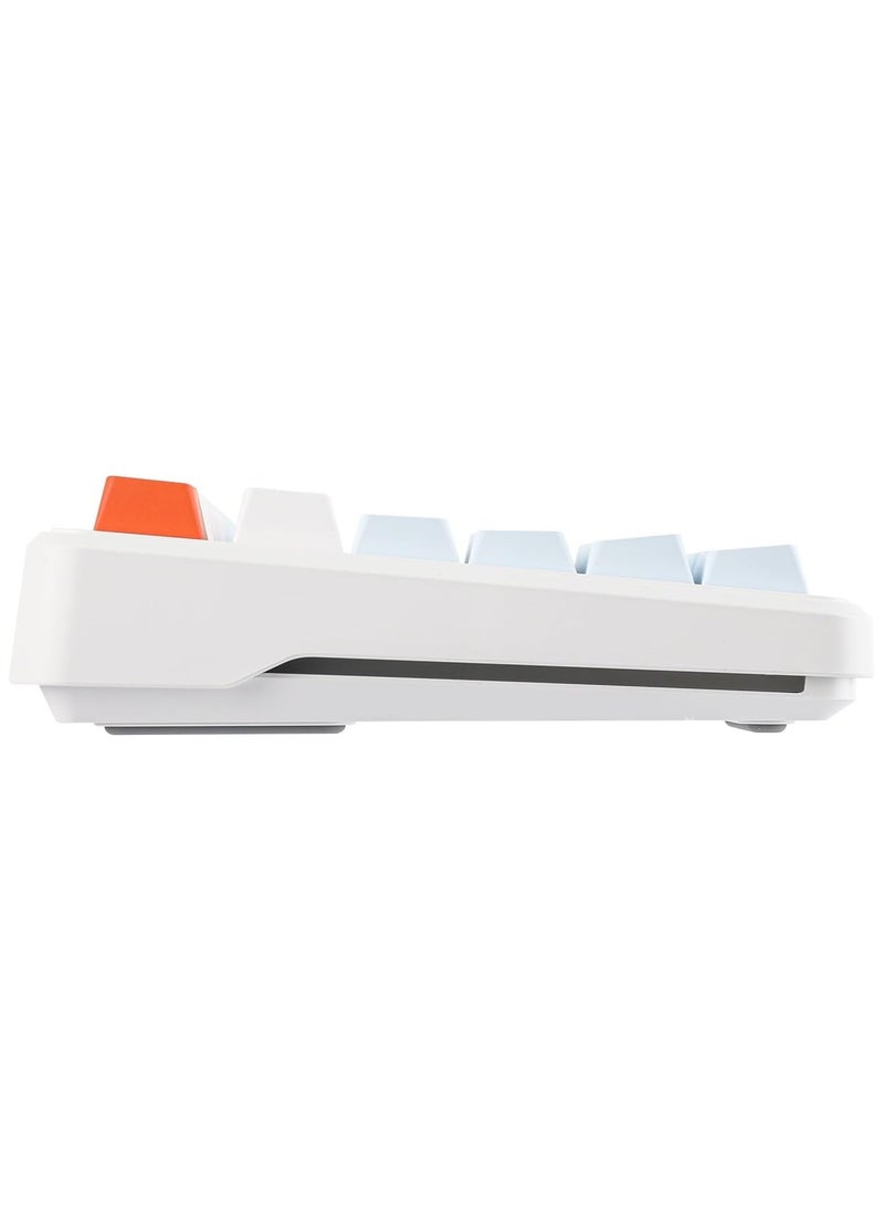 AULA F87 PRO Wireless Mechanical Keyboard,80% TKL Custom Hot Swappable Keyboard, Gasket Mount Gaming Keyboard with PBT Keycaps, Pre-lubed Nimbus V3 Switch,2.4GHz/USB-C/BT5.0 RGB Backlit Mechanical Keyboard  - Image 3