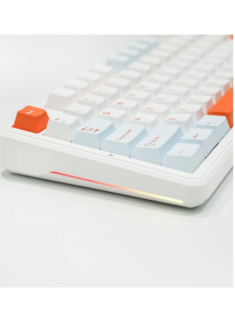 AULA F87 PRO Wireless Mechanical Keyboard,80% TKL Custom Hot Swappable Keyboard, Gasket Mount Gaming Keyboard with PBT Keycaps, Pre-lubed Nimbus V3 Switch,2.4GHz/USB-C/BT5.0 RGB Backlit Mechanical Keyboard  - Image 4