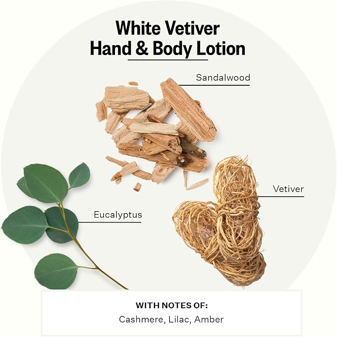 APOTHEKE Scented Hand & Body Lotion for Women & Men, White Vetiver (10 fl oz) - Image 2