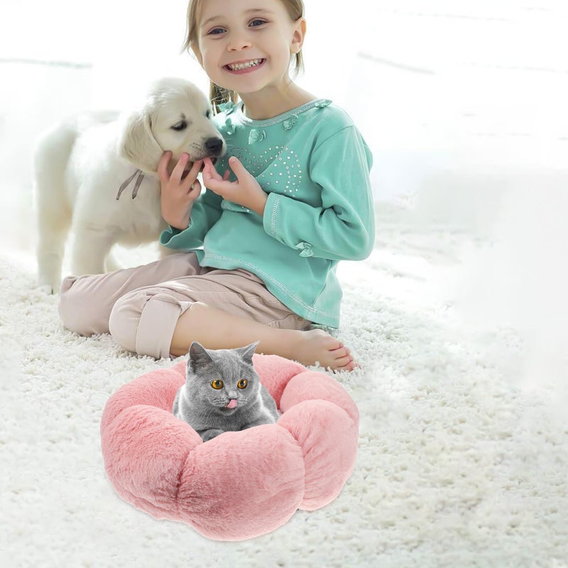 🐾 سرير قطط دافئ للعب والنوم بتصميم متين - Image 5