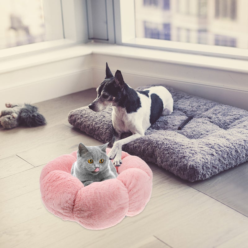 🐾 سرير قطط دافئ للعب والنوم بتصميم متين - Image 1