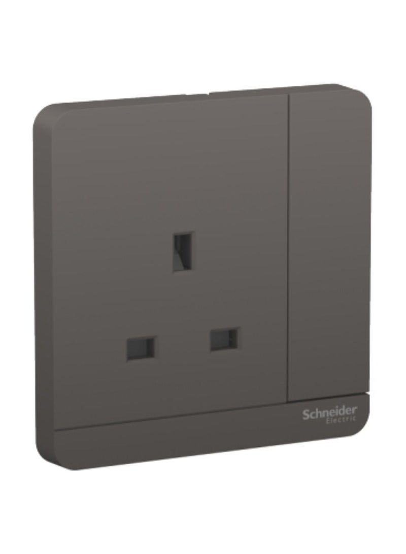 Schneider Electric AvatarOn Switched Socket 3P 13 A 250 V Led Dark Grey