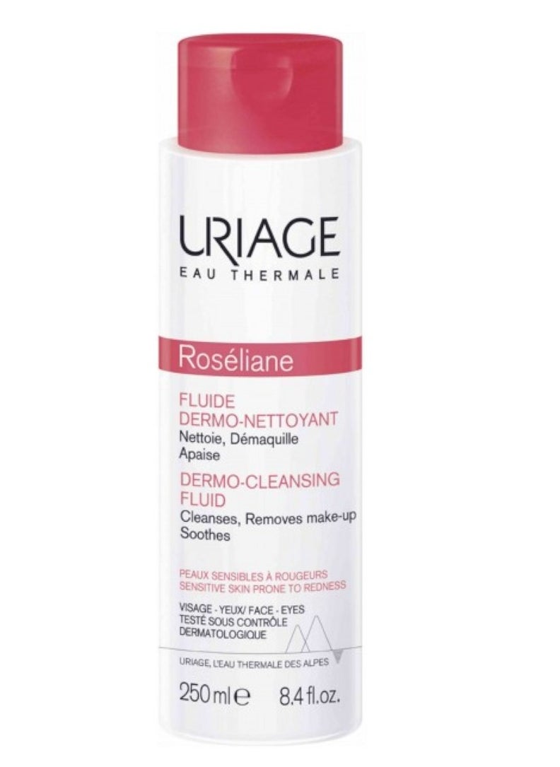 Roseliane Dermo-Cleansing Fluid, 8.4 Fl Oz - pzsku/Z67566319FB139BF56459Z/45/_/1733561145/75161766-8d79-4062-96fb-f65d49748177