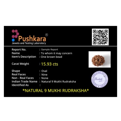 PUSHKARA NATURAL 9 MUKHI RUDRAKSHA CERTIFIED - NEPAL | BROWN | PJTL9M01 - ASTROLOGICAL BENEFITS - UNISEX PENDANTS - POSITIVE ENERGY FOR MEN & WOMEN - Image 3