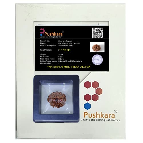 PUSHKARA NATURAL 9 MUKHI RUDRAKSHA CERTIFIED - NEPAL | BROWN | PJTL9M01 - ASTROLOGICAL BENEFITS - UNISEX PENDANTS - POSITIVE ENERGY FOR MEN & WOMEN - Image 2