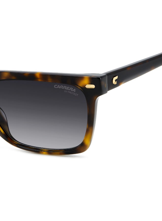 Carrera إطارات نظارات شمسية كارييرا مستطيلة - Image 5