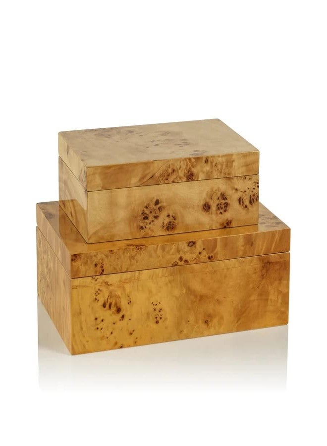 Zodax Leiden Burl Wood Design Decorative Box (Large 10") - Image 3