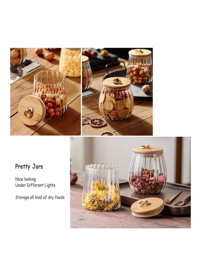 1Chase Borosilicate Glass Storage Jars With Airtight Bamboo Lid And Metal Handle, Set of 2 (Oval & Conical) 600/700ML