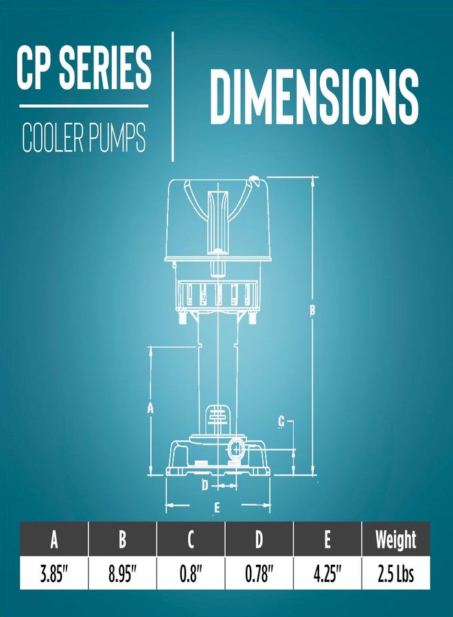 ليتل جايانت مضخة تبريد تبخيرية من ليتل جاينت CP1-115، بقوة 1/70 حصان، 115/127 فولت، 307 جالون/ساعة، مزودة بسلك بطول 6 أقدام وقابس ثلاثي الأطراف، لون أزرق، رقم 540005 - Image 2