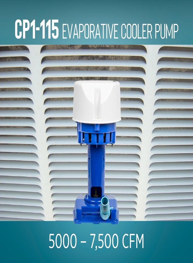 ليتل جايانت مضخة تبريد تبخيرية من ليتل جاينت CP1-115، بقوة 1/70 حصان، 115/127 فولت، 307 جالون/ساعة، مزودة بسلك بطول 6 أقدام وقابس ثلاثي الأطراف، لون أزرق، رقم 540005 - Image 5