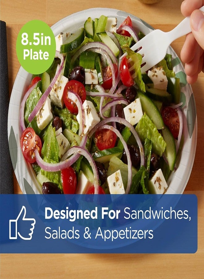 Dixie UX9PATHPK Pathways Soak-Proof Shield Mediumweight Paper Plates, 8 1/2-Inch, Pathway, 125/Pack - Image 4