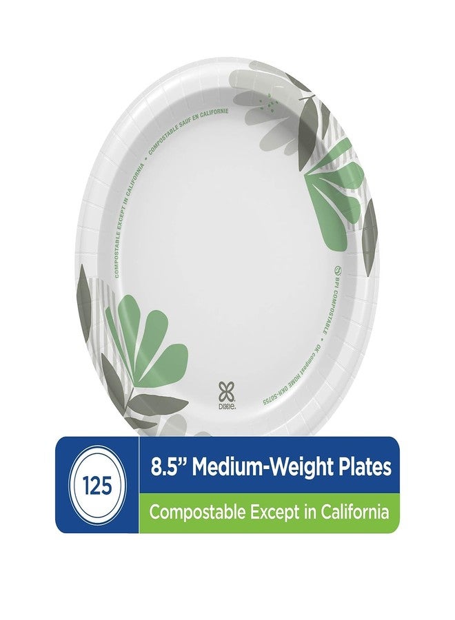 Dixie UX9PATHPK Pathways Soak-Proof Shield Mediumweight Paper Plates, 8 1/2-Inch, Pathway, 125/Pack - Image 2