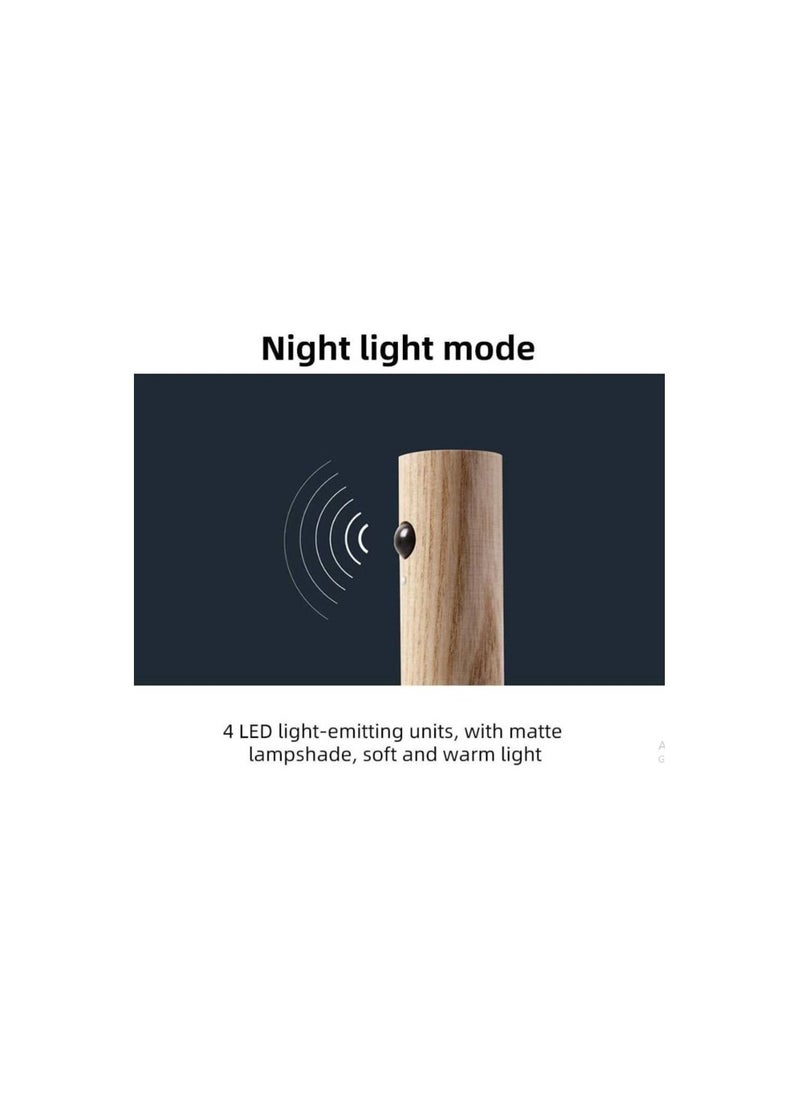 Rock Pow ROCK POW USB Charging Smart Body Sensor Night Light, Motion Sensor Night Light, Corridor Wall Induction lamp Bedroom Aisle Staircase Wardrobe (Black Walnut Night Light)  - Image 5
