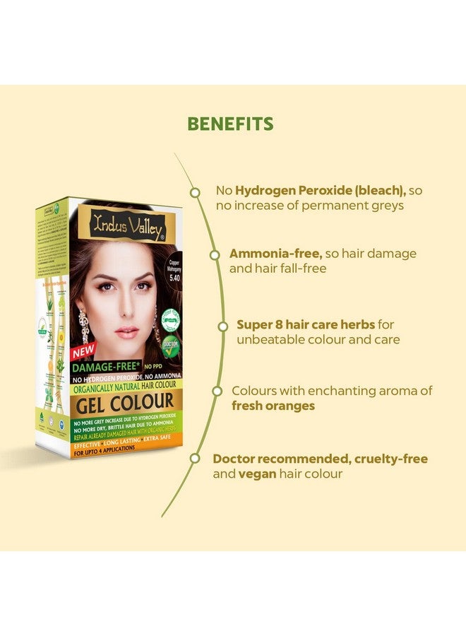 إندوس فالي جل تلوين الشعر الطبيعي الخالي من التلف من INDUS VALLEY للنساء | لون شعر عضوي خالٍ من الأمونيا وPPD مع تغطية 100% للشعر الرمادي، لون شعر مرطب يدوم طويلاً | ماهوجني نحاسي 5.40-220 مل - Image 2